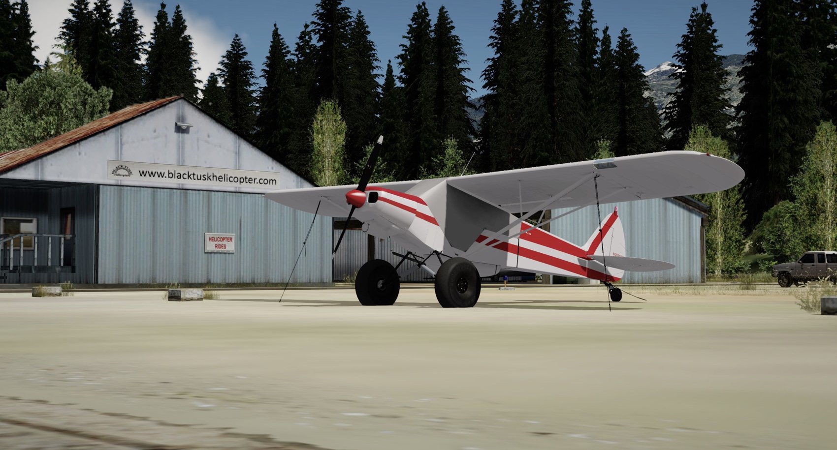 s202059_19429315.jpg