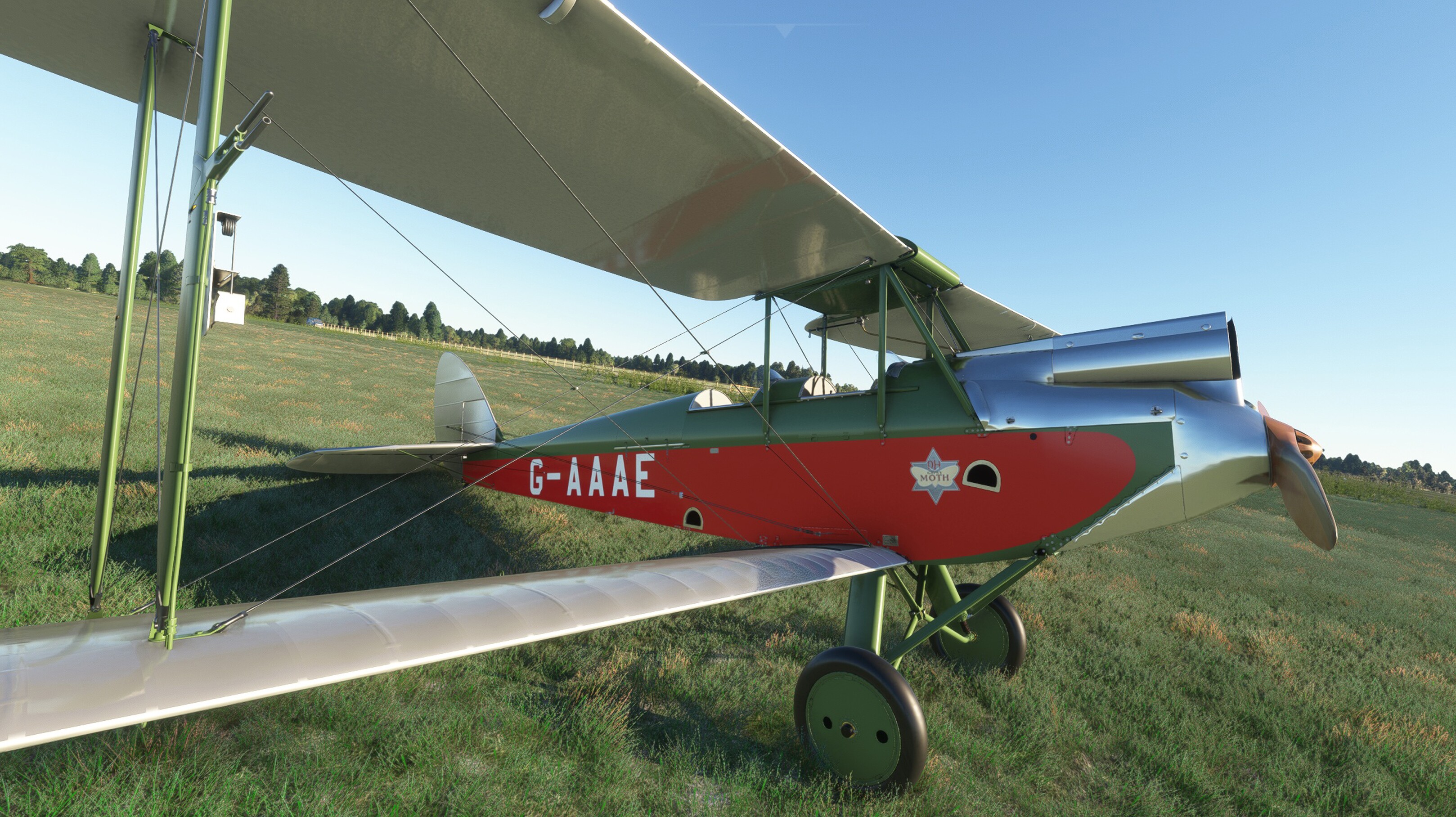 DH.60G Gipsy Moth — MSFS screenshot 5 of 31