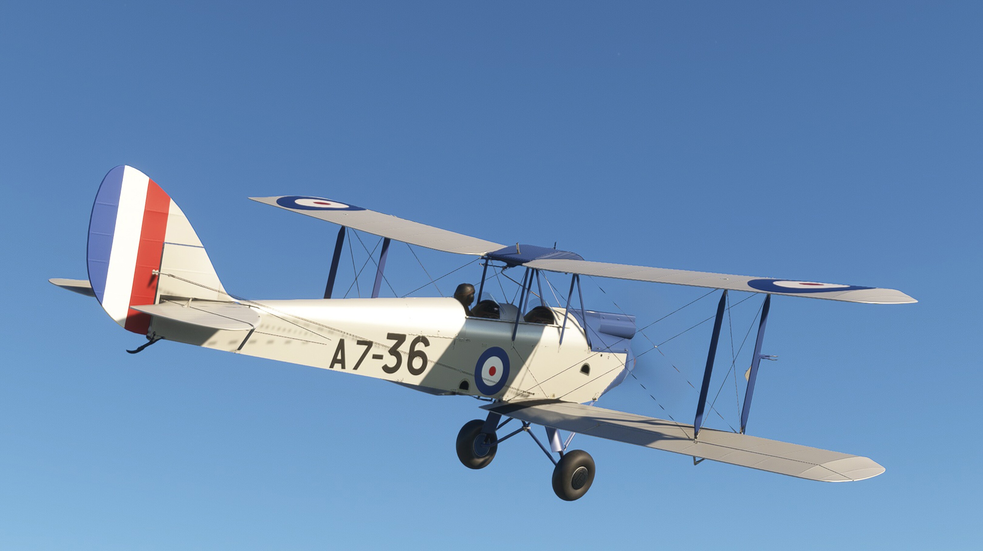 DH.60G Gipsy Moth — MSFS screenshot 14 of 31