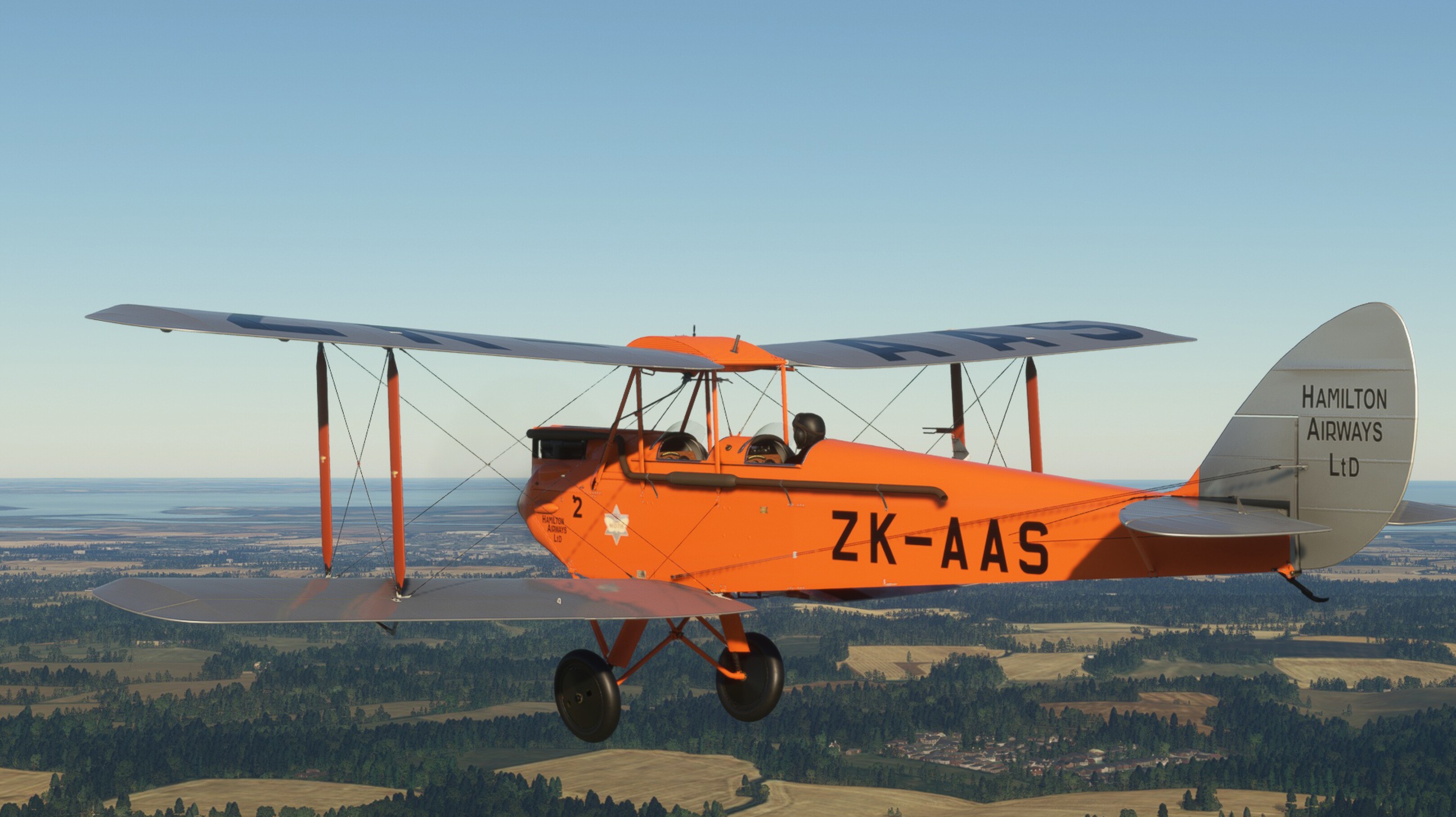 DH.60G Gipsy Moth — MSFS screenshot 15 of 31
