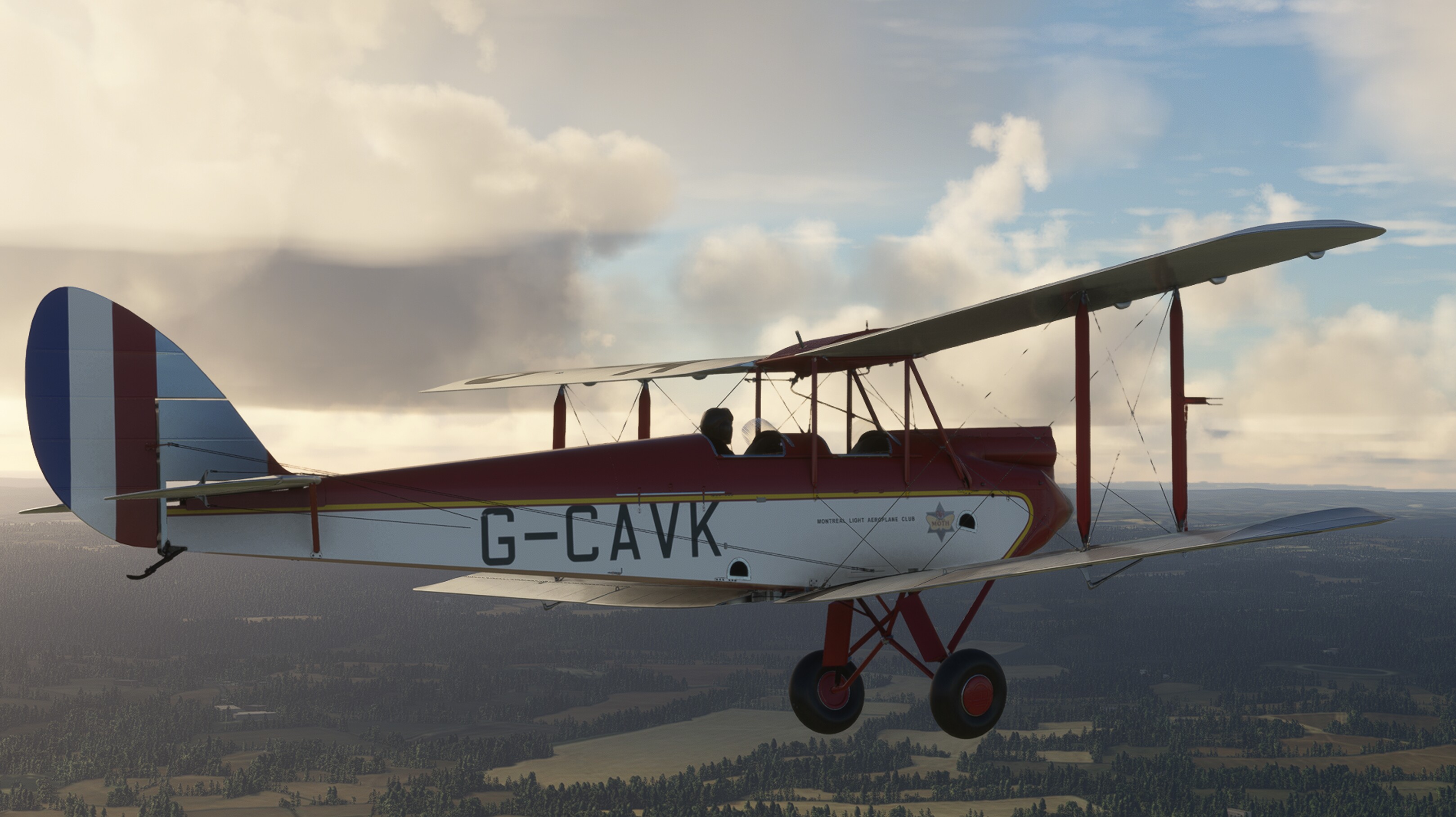 DH.60G Gipsy Moth — MSFS screenshot 17 of 31