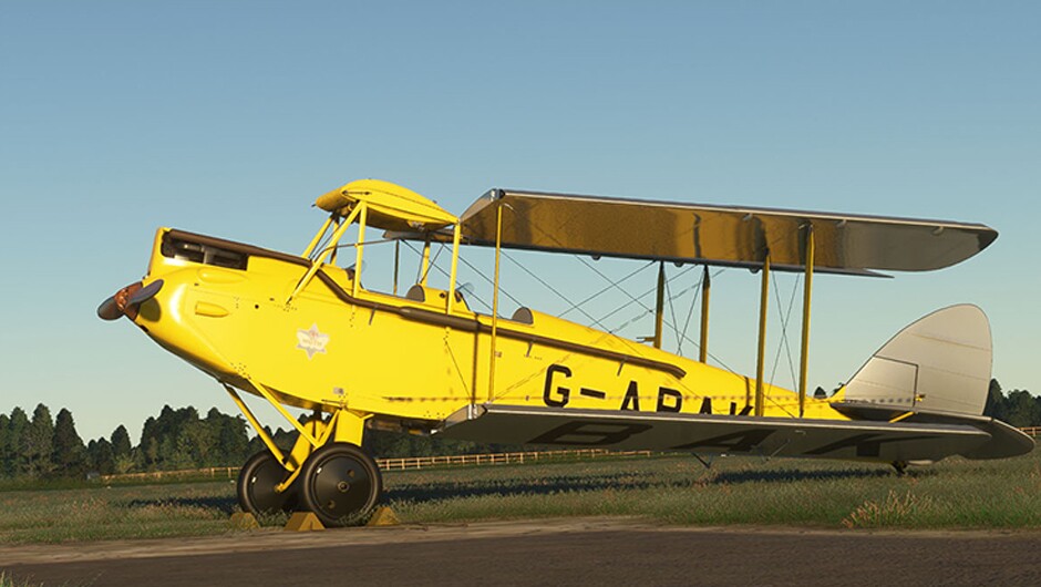 DH.60G Gipsy Moth — MSFS screenshot 30 of 31