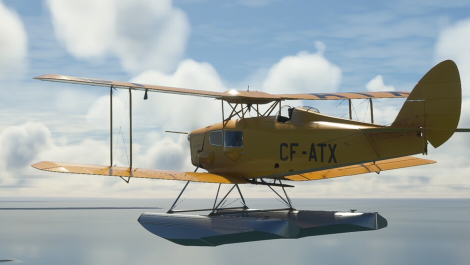 DH.83 Fox Moth — MSFS screenshot 19 of 29