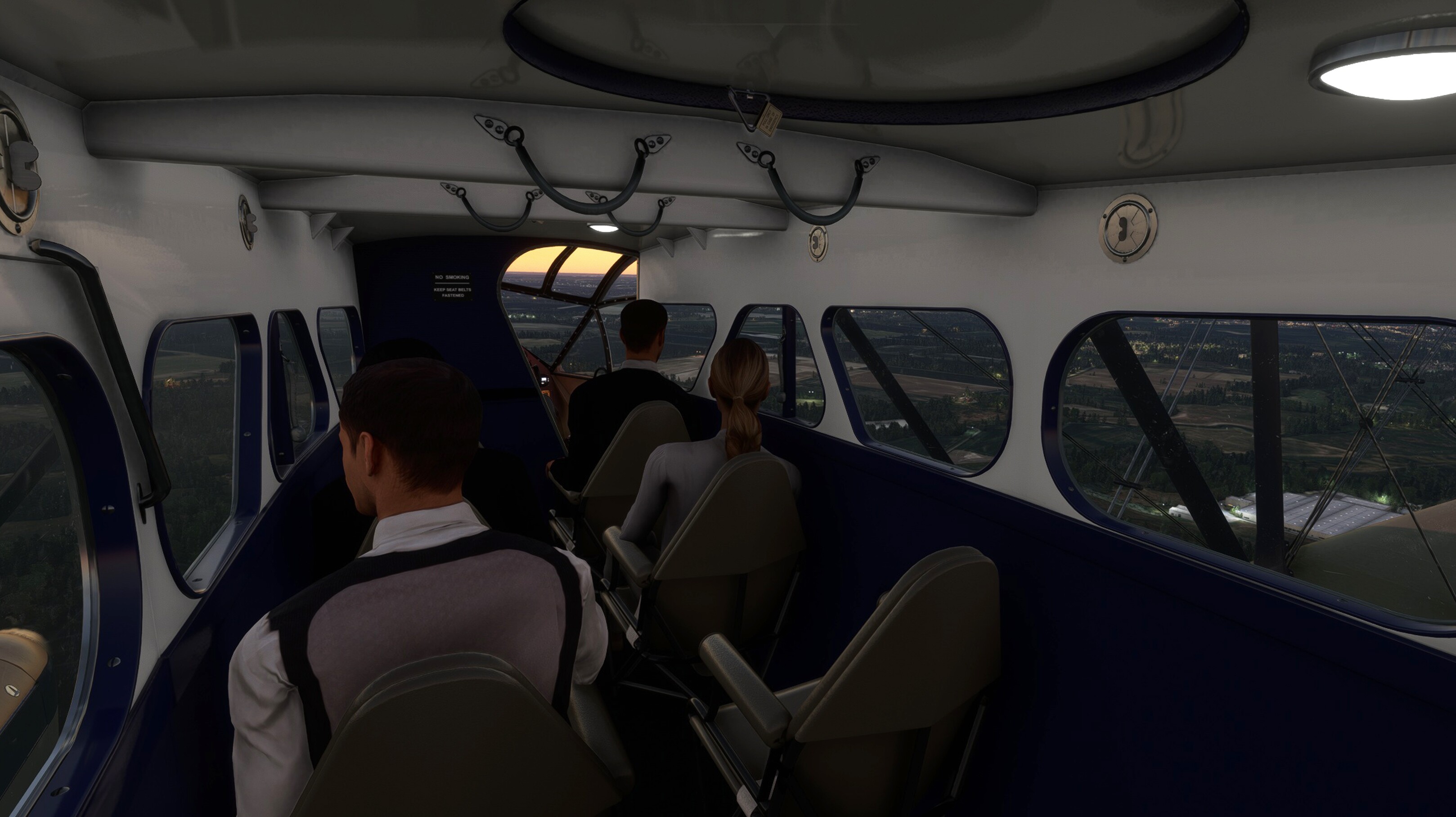 DH.89 Dragon Rapide — MSFS screenshot 10 of 19