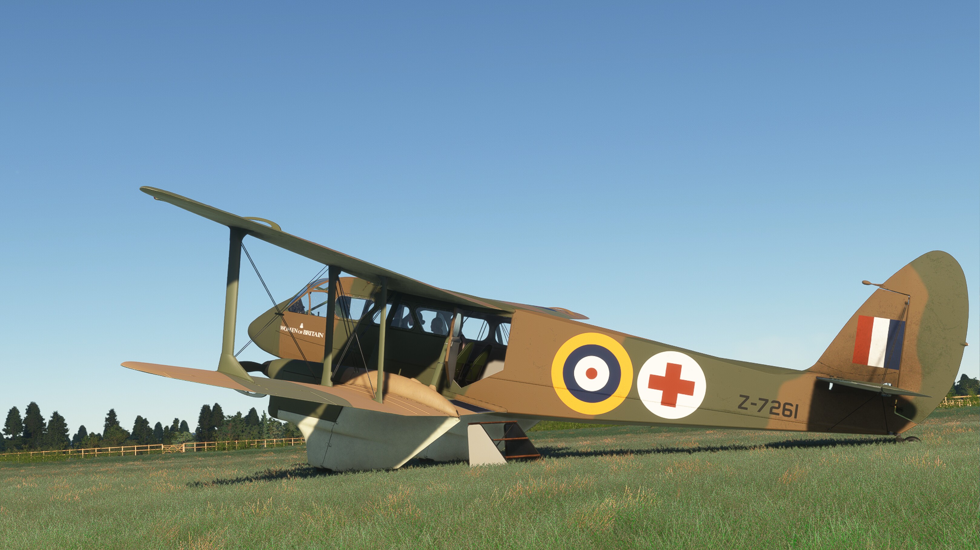 DH.89 Dragon Rapide — MSFS screenshot 16 of 19