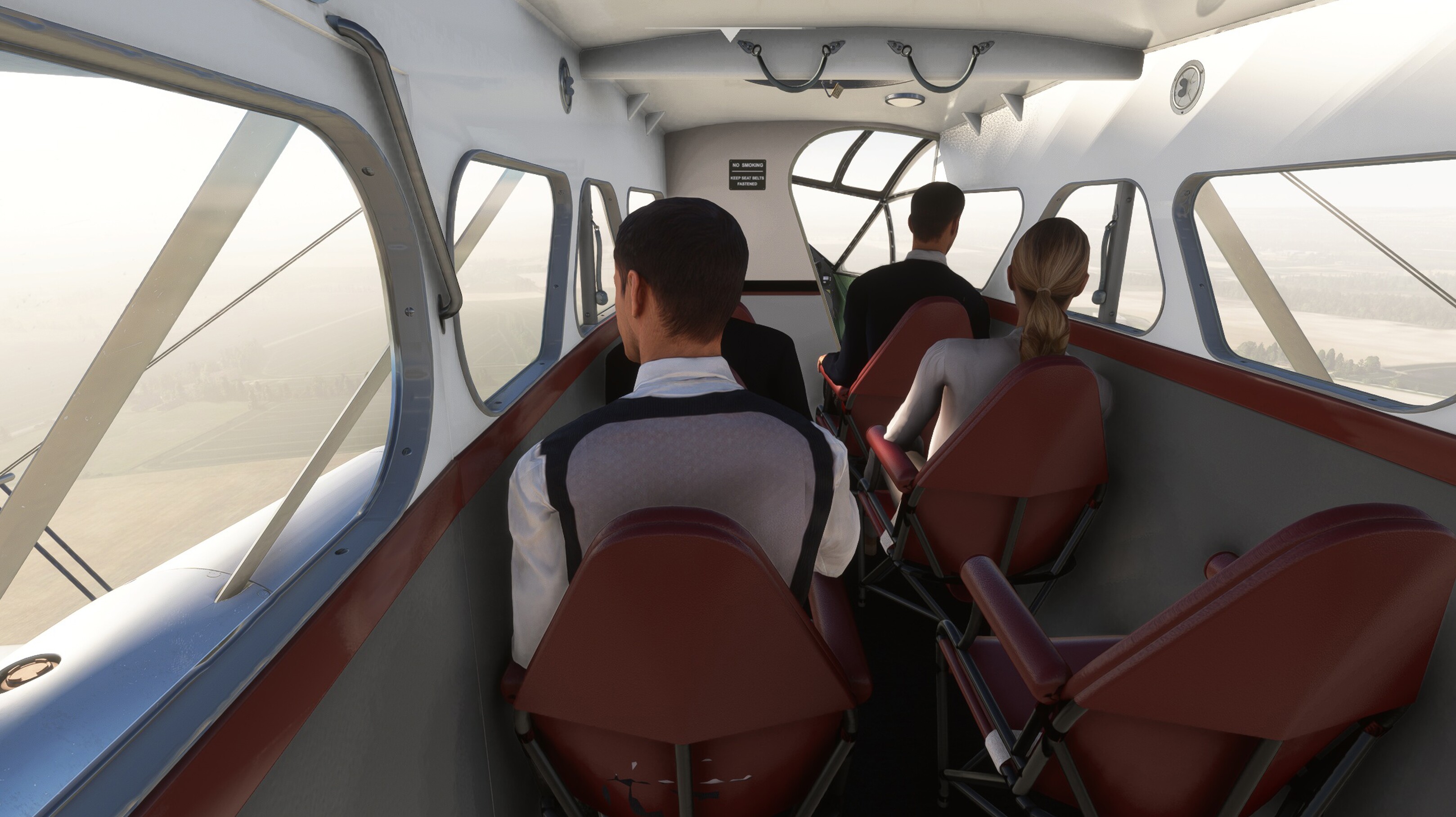 DH.89 Dragon Rapide — MSFS screenshot 7 of 19