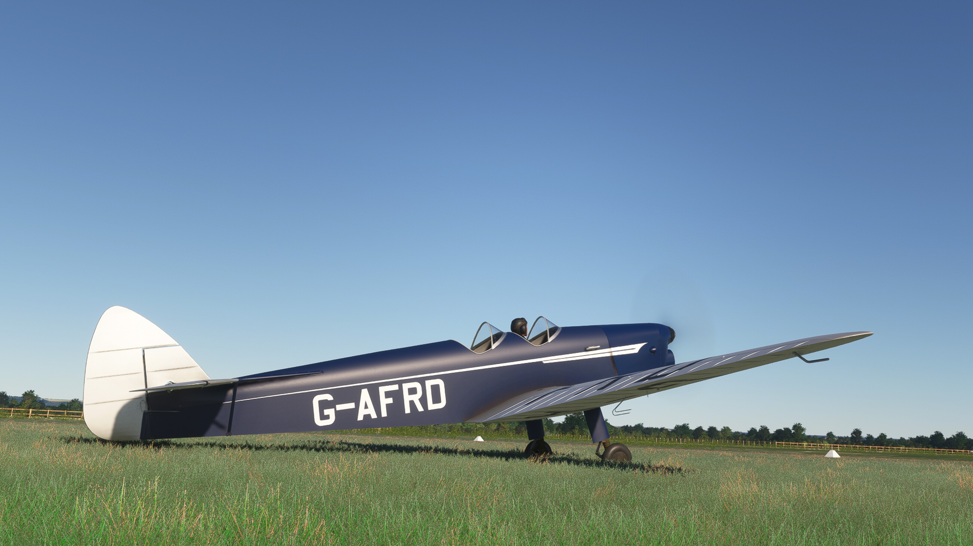 DH.94 Moth Minor — MSFS screenshot 1 of 26