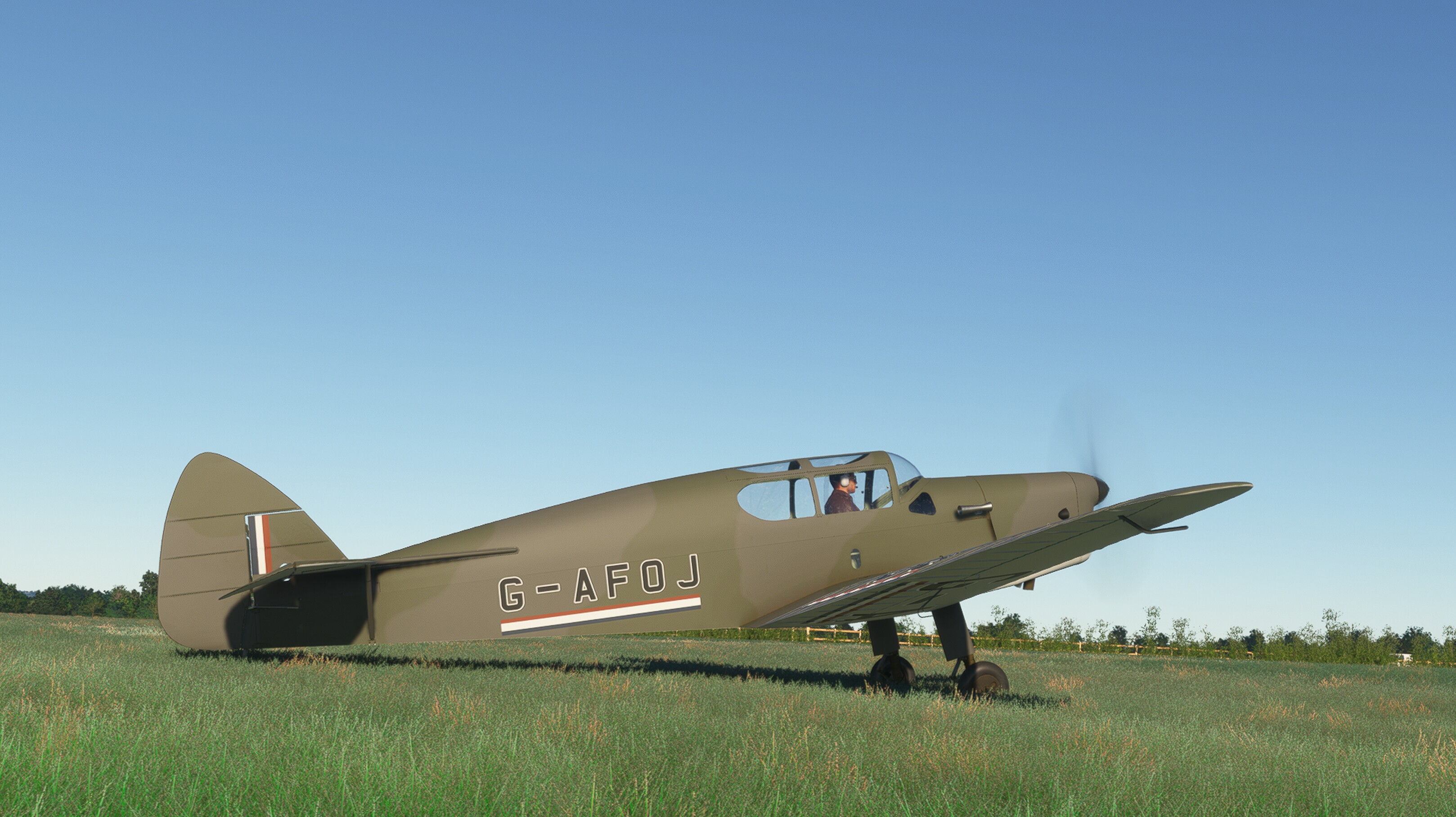 DH.94 Moth Minor — MSFS screenshot 10 of 26
