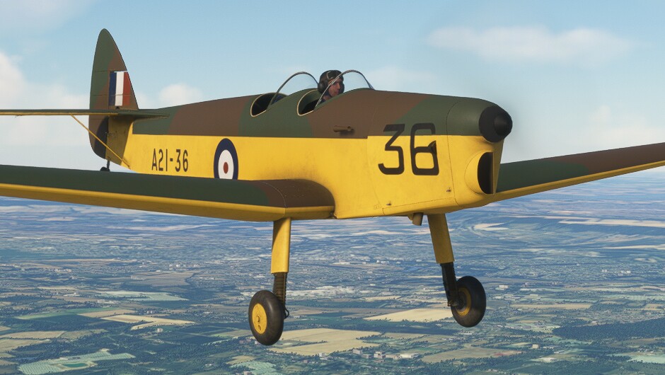 DH.94 Moth Minor — MSFS screenshot 14 of 26