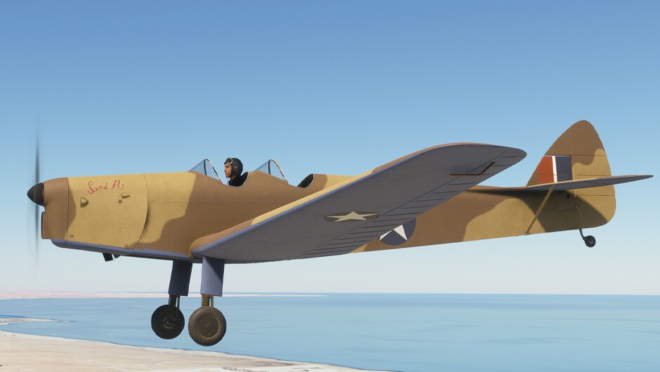 DH.94 Moth Minor — MSFS screenshot 20 of 26