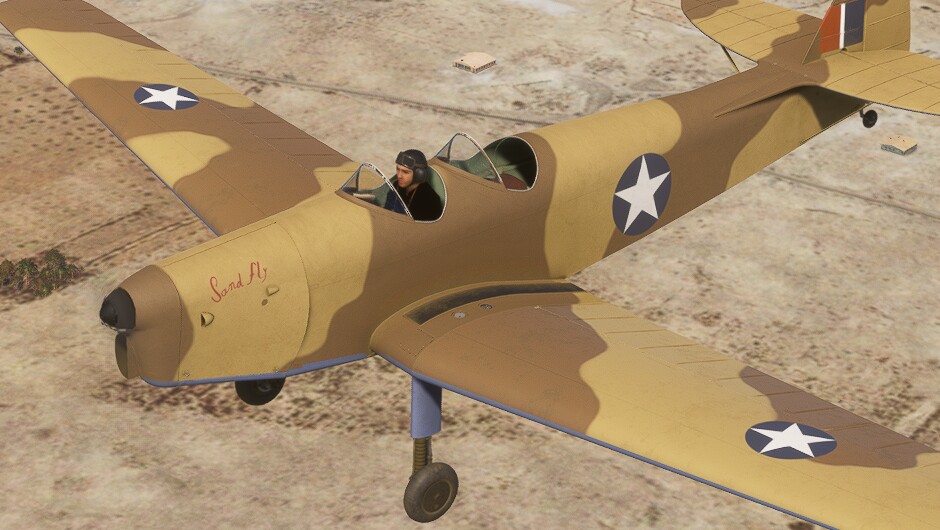 DH.94 Moth Minor — MSFS screenshot 21 of 26