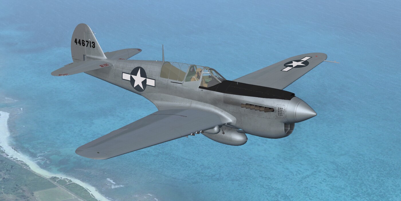 P-40N Warhawk / Kittyhawk IV — FSX archive screenshot 4 of 45