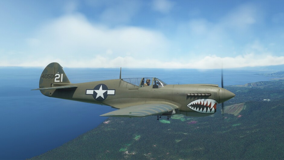 P-40N Warhawk / Kittyhawk IV — MSFS screenshot 1 of 14