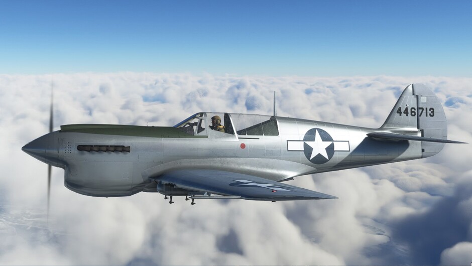 P-40N Warhawk / Kittyhawk IV — MSFS screenshot 14 of 14