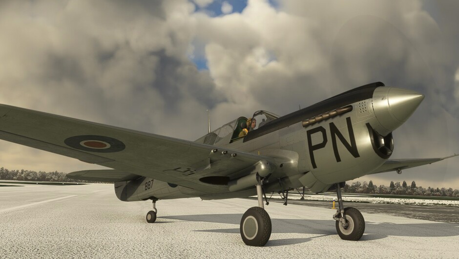 P-40N Warhawk / Kittyhawk IV — MSFS screenshot 3 of 14