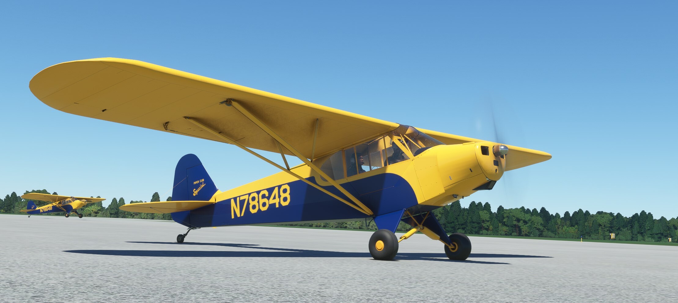 PA-11 Cub Special — MSFS screenshot 1 of 17