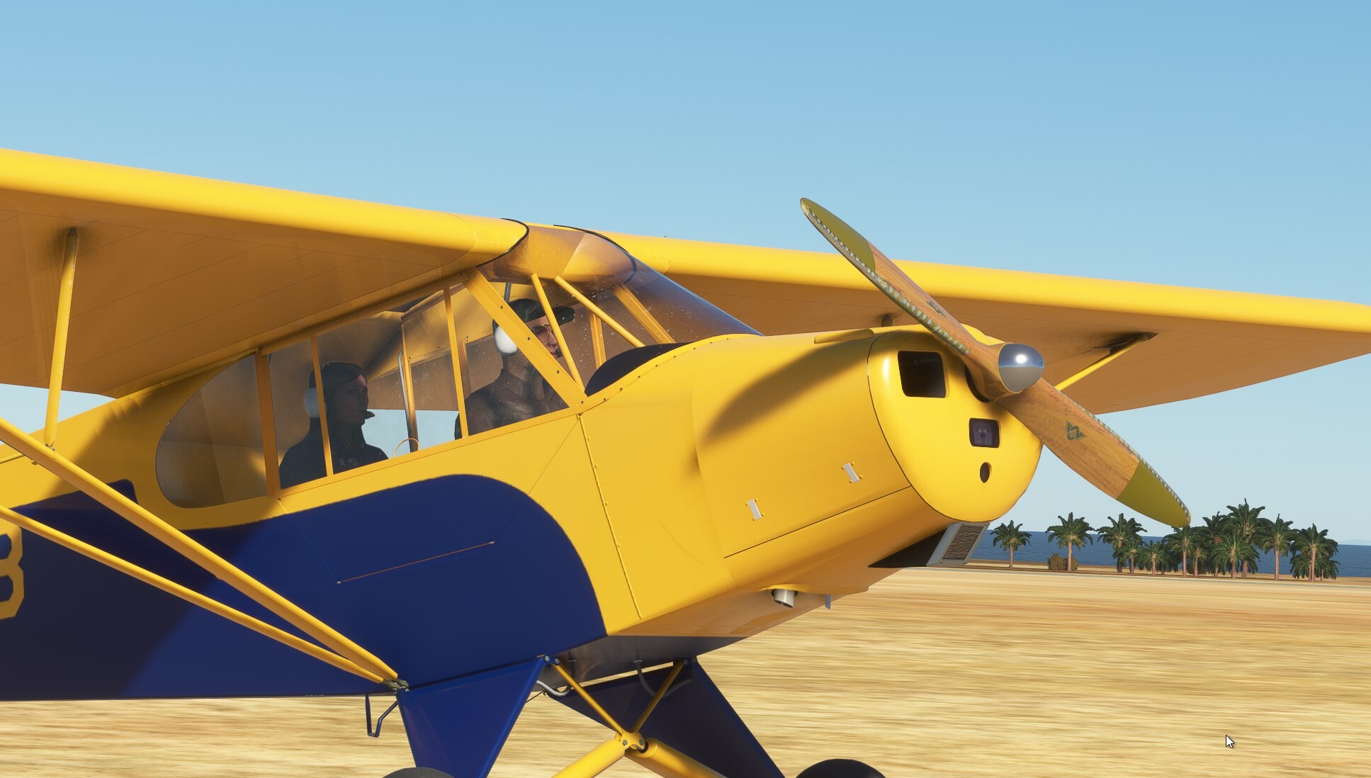 PA-11 Cub Special — MSFS screenshot 7 of 17